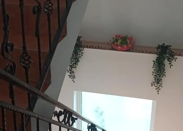 Sunset Проживание в семье *